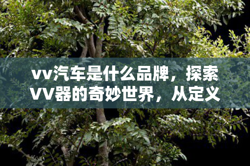 vv汽车是什么品牌，探索VV器的奇妙世界，从定义到应用的全解析
