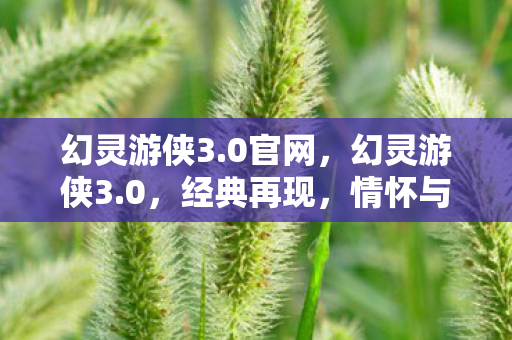 幻灵游侠3.0官网，幻灵游侠3.0，经典再现，情怀与创新的完美融合