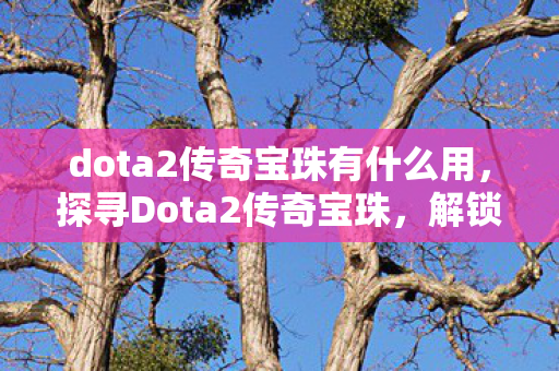 dota2传奇宝珠有什么用,探寻Dota2传奇宝珠,解锁游戏世界的神秘宝藏 dota2传奇宝珠有什么用,探寻Dota2传奇宝珠,解锁游戏世界的神秘宝藏
