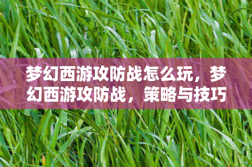 梦幻西游攻防战怎么玩，梦幻西游攻防战，策略与技巧的深度剖析
