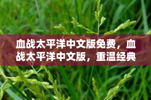 血战太平洋中文版免费，血战太平洋中文版，重温经典战役，感受历史震撼