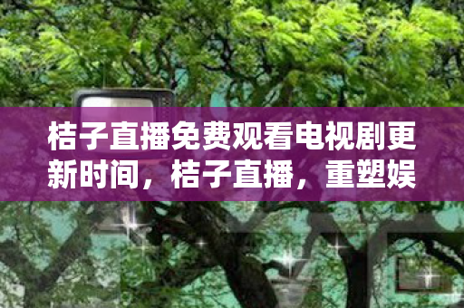 桔子直播免费观看电视剧更新时间，桔子直播，重塑娱乐新生态，引领直播新潮流