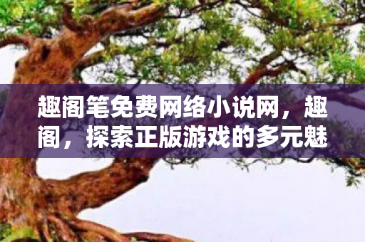 趣阁笔免费网络小说网，趣阁，探索正版游戏的多元魅力