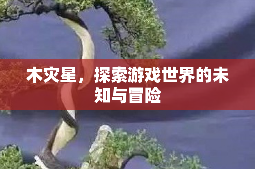 木灾星，探索游戏世界的未知与冒险
