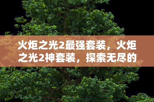 火炬之光2最强套装，火炬之光2神套装，探索无尽的力量与荣耀