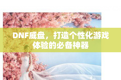 DNF威盘，打造个性化游戏体验的必备神器