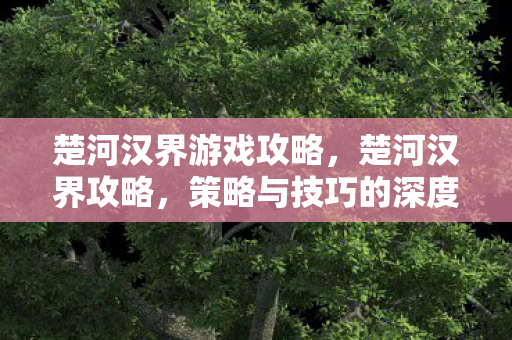 楚河汉界游戏攻略，楚河汉界攻略，策略与技巧的深度解析