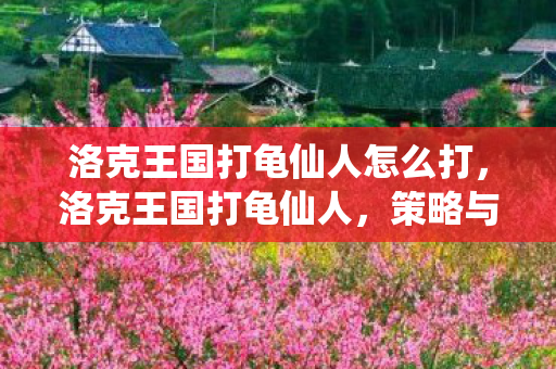 洛克王国打龟仙人怎么打，洛克王国打龟仙人，策略与技巧的深度剖析