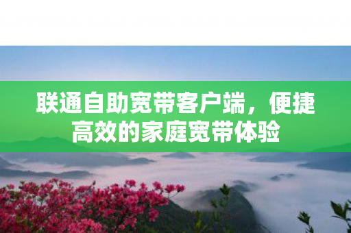 联通自助宽带客户端,便捷高效的家庭宽带体验 联通自助宽带客户端,便捷高效的家庭宽带体验