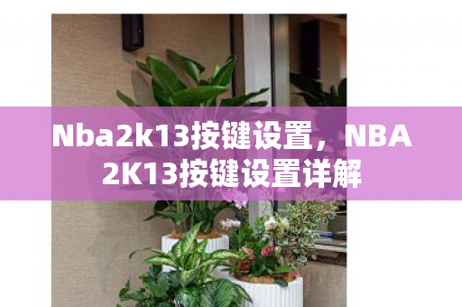 Nba2k13按键设置，NBA2K13按键设置详解