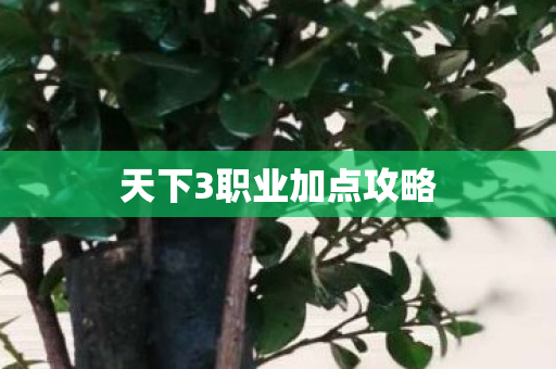 天下3职业加点攻略