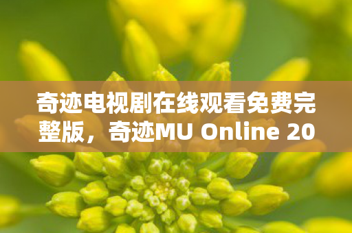 奇迹电视剧在线观看免费完整版，奇迹MU Online 2008，重温经典，再续传奇