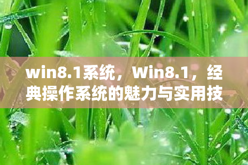 win8.1系统，Win8.1，经典操作系统的魅力与实用技巧
