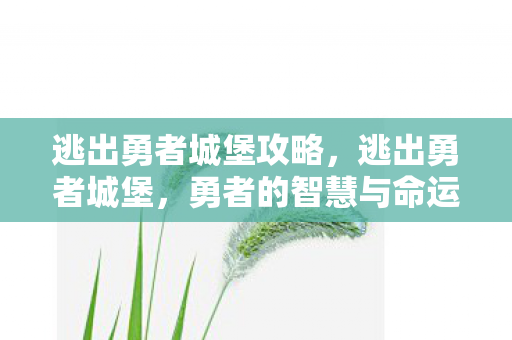 逃出勇者城堡攻略，逃出勇者城堡，勇者的智慧与命运的抉择