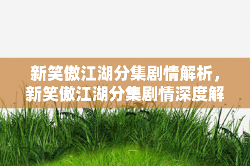 新笑傲江湖分集剧情解析，新笑傲江湖分集剧情深度解析，江湖风云再起，情义两难全