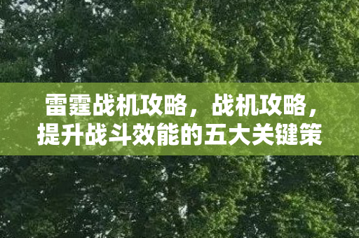 雷霆战机攻略，战机攻略，提升战斗效能的五大关键策略