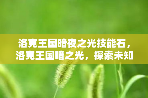 洛克王国暗夜之光技能石，洛克王国暗之光，探索未知世界的奇幻之旅