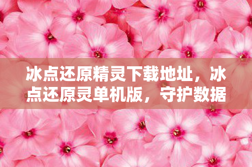 冰点还原精灵下载地址，冰点还原灵单机版，守护数据安全的得力助手