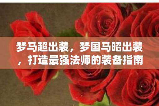 梦马超出装，梦国马昭出装，打造最强法师的装备指南