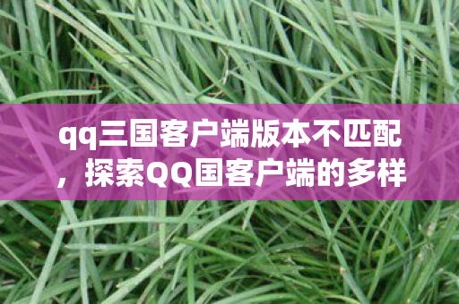 qq三国客户端版本不匹配，探索QQ国客户端的多样性与兼容性挑战