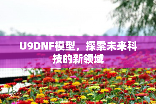 U9DNF模型，探索未来科技的新领域