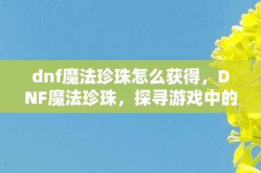 dnf魔法珍珠怎么获得，DNF魔法珍珠，探寻游戏中的神秘宝藏