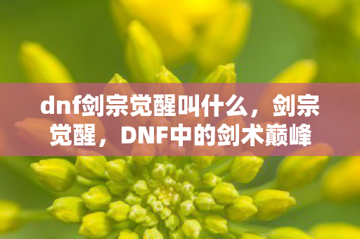 dnf剑宗觉醒叫什么，剑宗觉醒，DNF中的剑术巅峰
