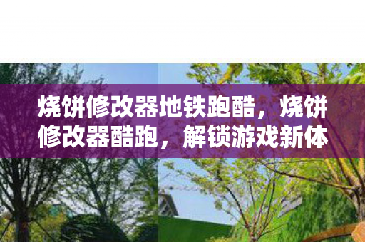 烧饼修改器地铁跑酷，烧饼修改器酷跑，解锁游戏新体验