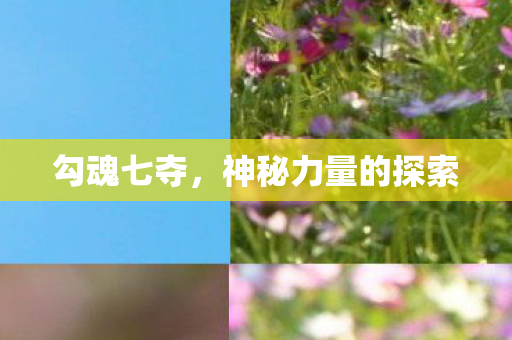 勾魂七夺，神秘力量的探索