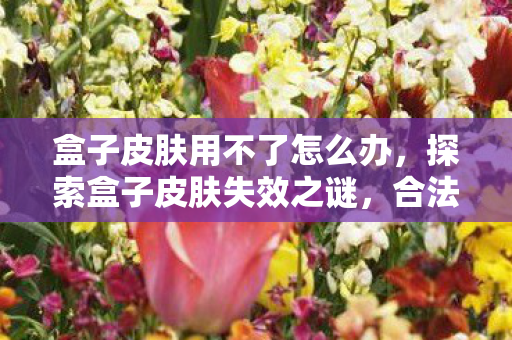 盒子皮肤用不了怎么办，探索盒子皮肤失效之谜，合法合规下的个性化体验