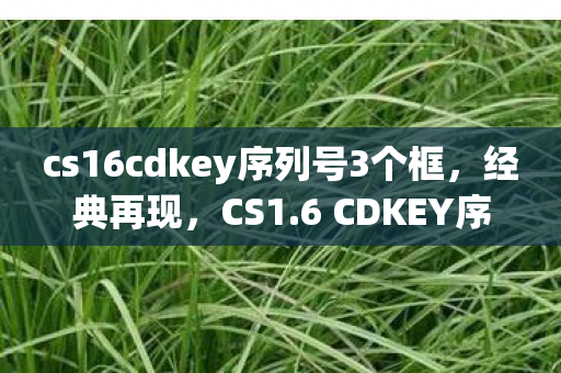 cs16cdkey序列号3个框，经典再现，CS1.6 CDKEY序列号背后的传奇故事