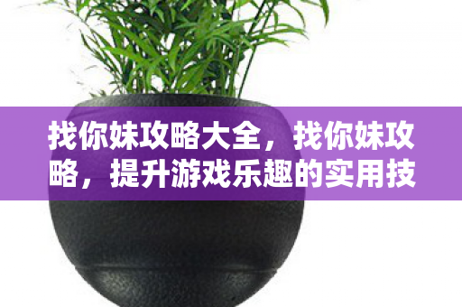 找你妹攻略大全，找你妹攻略，提升游戏乐趣的实用技巧