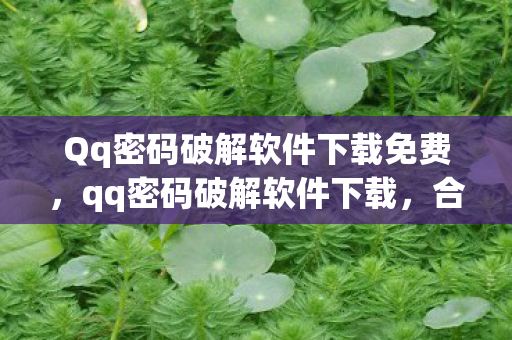 Qq密码破解软件下载免费，qq密码破解软件下载，合法途径与注意事项