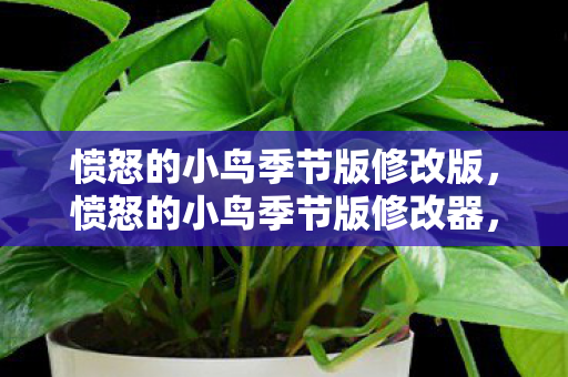 愤怒的小鸟季节版修改版，愤怒的小鸟季节版修改器，解锁无限乐趣，合法合规的娱乐新选择