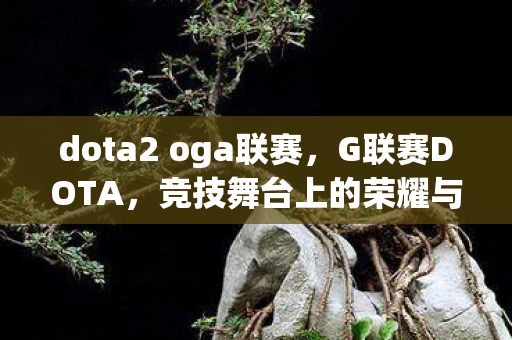 dota2 oga联赛，G联赛DOTA，竞技舞台上的荣耀与梦想