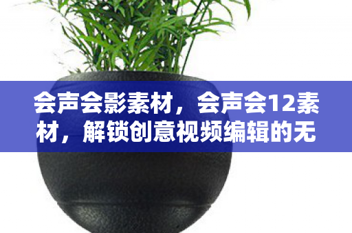 会声会影素材，会声会12素材，解锁创意视频编辑的无限可能