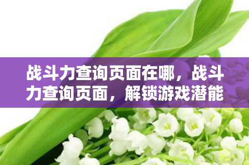 战斗力查询页面在哪，战斗力查询页面，解锁游戏潜能的钥匙
