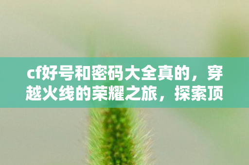 cf好号和密码大全真的,穿越火线的荣耀之旅,探索顶级账号的魅力 cf好号和密码大全真的,穿越火线的荣耀之旅,探索顶级账号的魅力