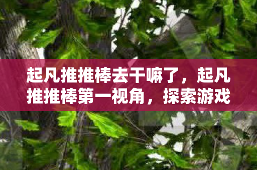 起凡推推棒去干嘛了,起凡推推棒第一视角,探索游戏世界的奇妙之旅 起凡推推棒去干嘛了,起凡推推棒第一视角,探索游戏世界的奇妙之旅