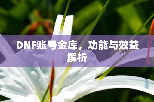 DNF账号金库，功能与效益解析