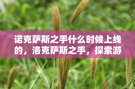 诺克萨斯之手什么时候上线的，洛克萨斯之手，探索游戏世界的神秘力量