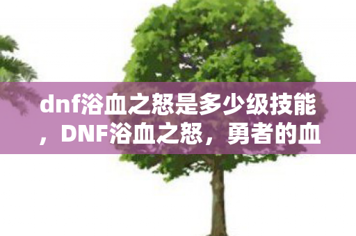 dnf浴血之怒是多少级技能，DNF浴血之怒，勇者的血与泪，战斗意志的觉醒