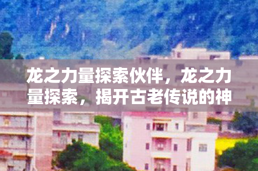 龙之力量探索伙伴，龙之力量探索，揭开古老传说的神秘面纱