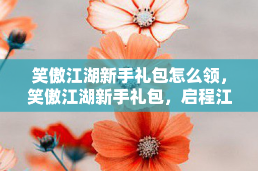 笑傲江湖新手礼包怎么领，笑傲江湖新手礼包，启程江湖之旅的必备神器
