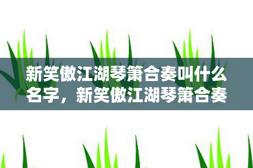 新笑傲江湖琴箫合奏叫什么名字，新笑傲江湖琴箫合奏，古风音乐的绝妙演绎