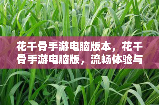 花千骨手游电脑版本，花千骨手游电脑版，流畅体验与操作优化全解析