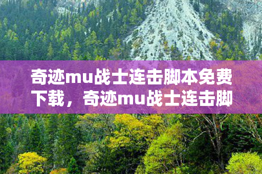 奇迹mu战士连击脚本免费下载，奇迹mu战士连击脚本，提升战斗效率的必备工具