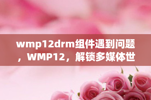 wmp12drm组件遇到问题，WMP12，解锁多媒体世界的钥匙