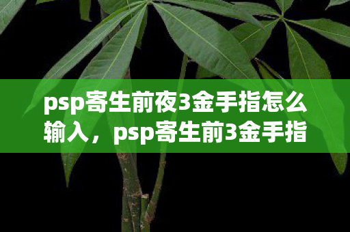 psp寄生前夜3金手指怎么输入,psp寄生前3金手指,解锁游戏新体验,探索未知世界 psp寄生前夜3金手指怎么输入,psp寄生前3金手指,解锁游戏新体验,探索未知世界