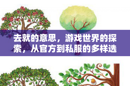 去就的意思,游戏世界的探索,从官方到私服的多样选择 去就的意思,游戏世界的探索,从官方到私服的多样选择
